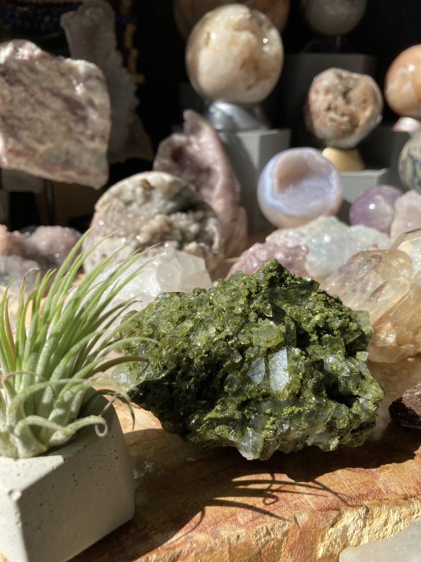 Epidote cluster with air plant